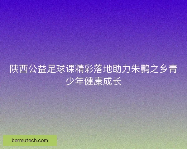 陕西公益足球课精彩落地助力朱鹮之乡青少年健康成长