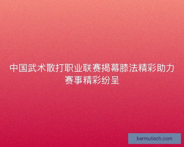 中国武术散打职业联赛揭幕膝法精彩助力赛事精彩纷呈