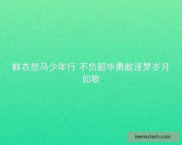 鲜衣怒马少年行 不负韶华勇敢逐梦岁月如歌 鲜衣怒马少年行 不负韶华勇敢逐梦岁月如歌